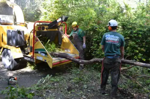 tree services Cedar Vale